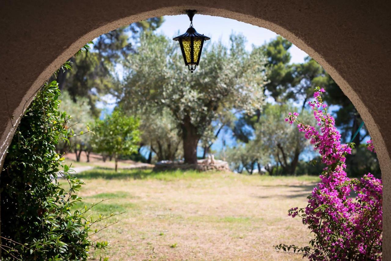 Chalkidiki Beachfront Haven - Perfect Location Nikiti  Exteriér fotografie